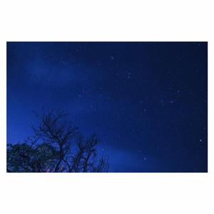 越南女子别动队电影完整版
