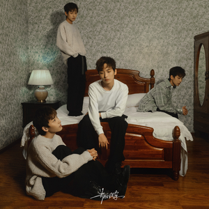 越南女子别动队电影完整版
