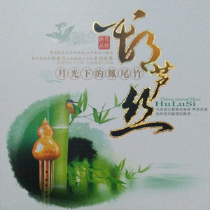 越南女子别动队电影完整版
