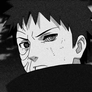 越南女子别动队电影完整版
