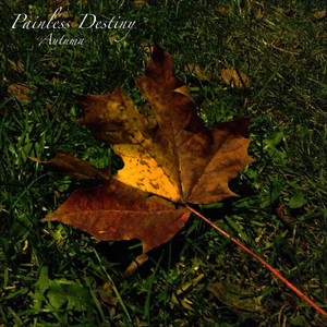 越南女子别动队电影完整版
